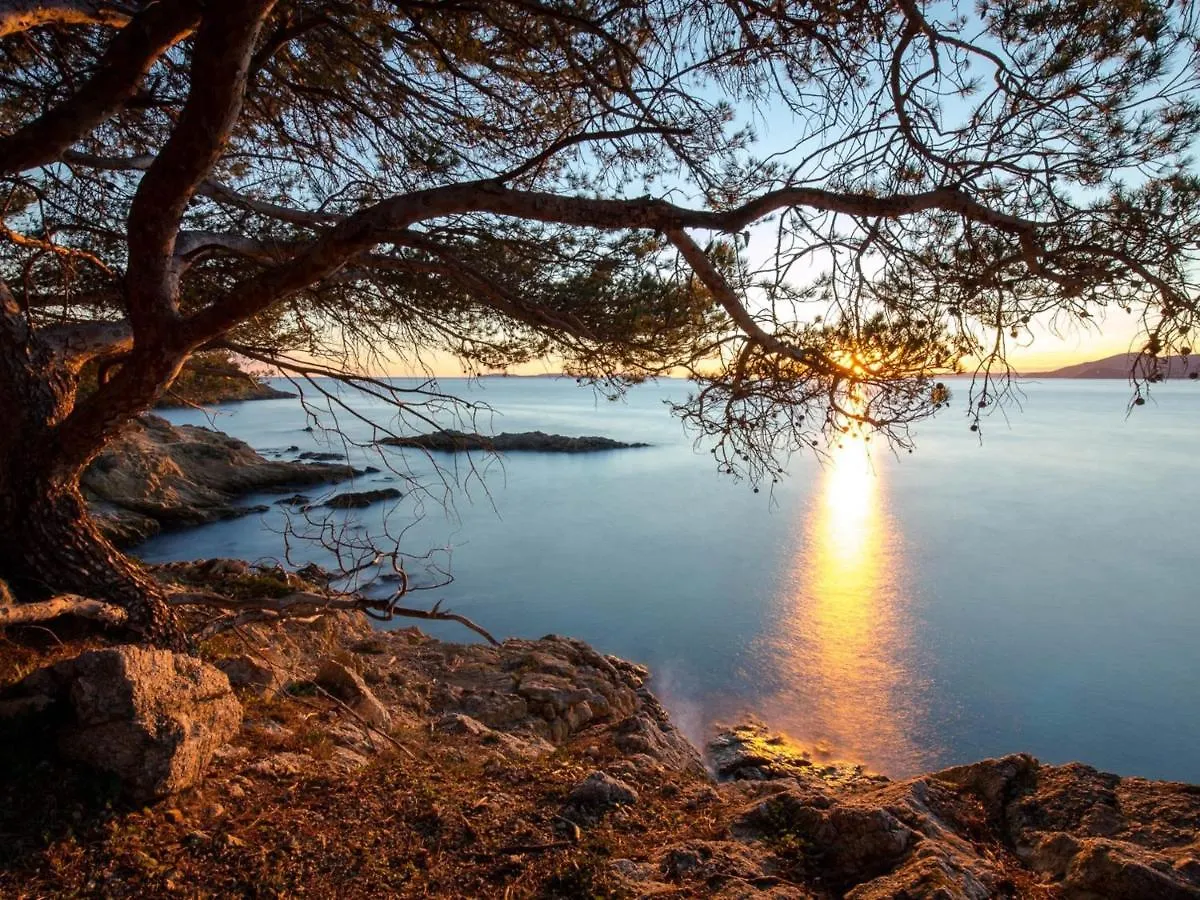 Studio Climatise Pour 3 Pers, A 50M De La Plage, Centre-Ville Saint-Raphael, Wifi, Parking Dispo - Fr-1-466A-38 Lägenhet Saint-Raphaël